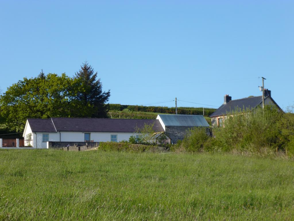 Red Kite Cottage Carmarthen Buitenkant foto